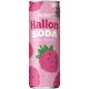 PREMIER Hallonsoda - 330ml