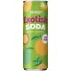 PREMIER Exotisk soda zero - 330ml